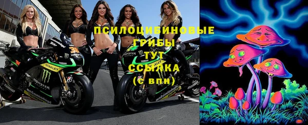 прущая мука Алзамай