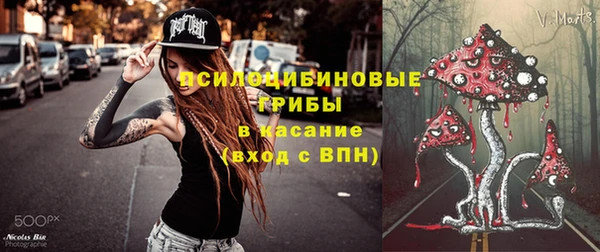прущая мука Алзамай