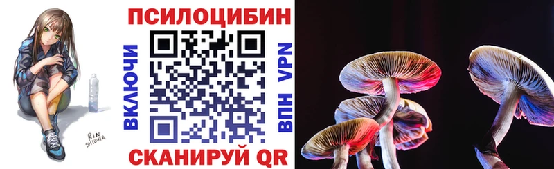 купить наркотик  Белгород  Псилоцибиновые грибы мицелий 